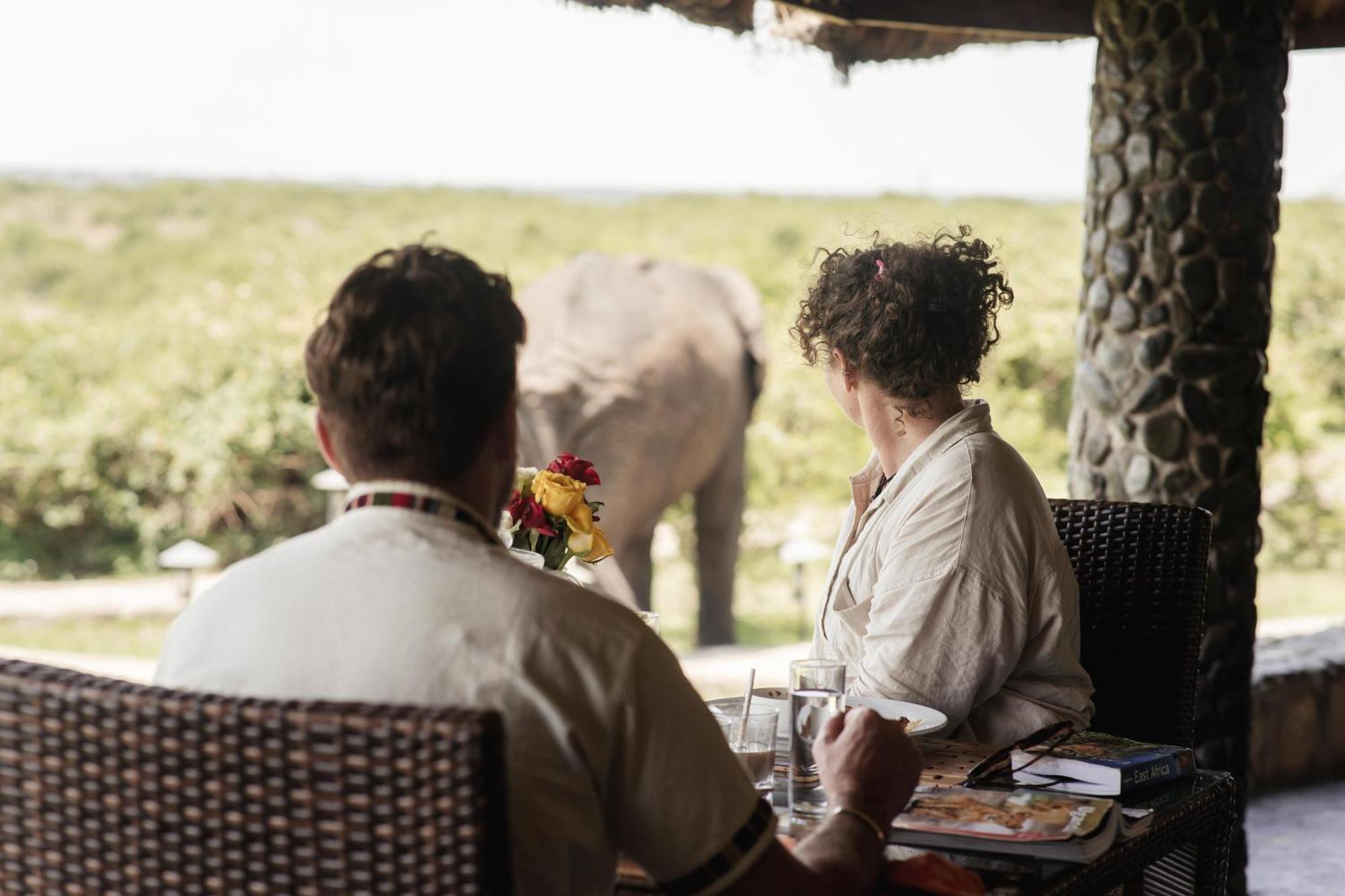 Buffalo Safari Lodge Katunguru Eksteriør billede